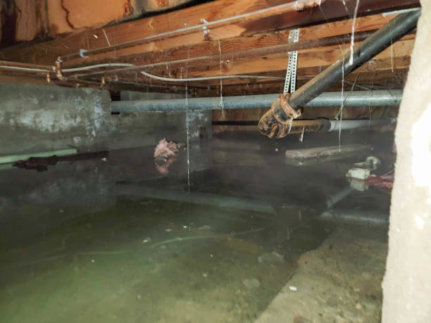 Best Local water damage restoration  in New Hempstead, NY