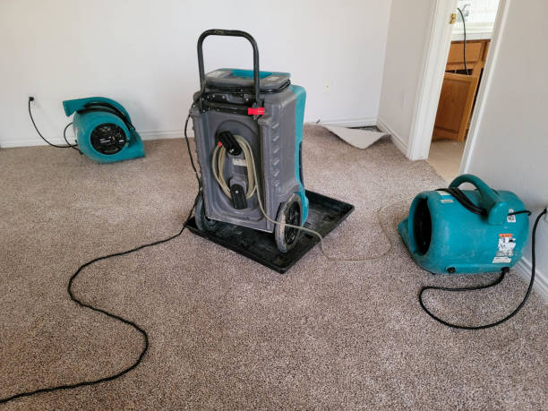 Best Basement water damage restoration  in New Hempstead, NY