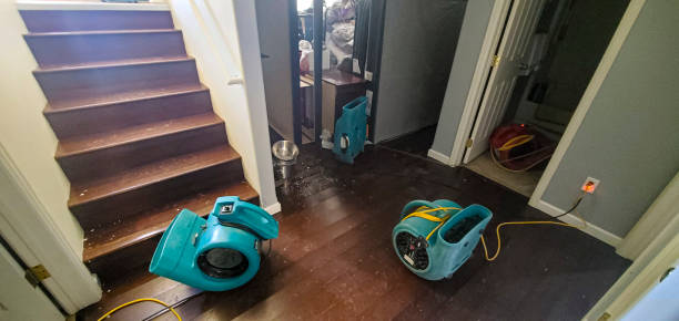 Best Commercial water damage restoration  in New Hempstead, NY