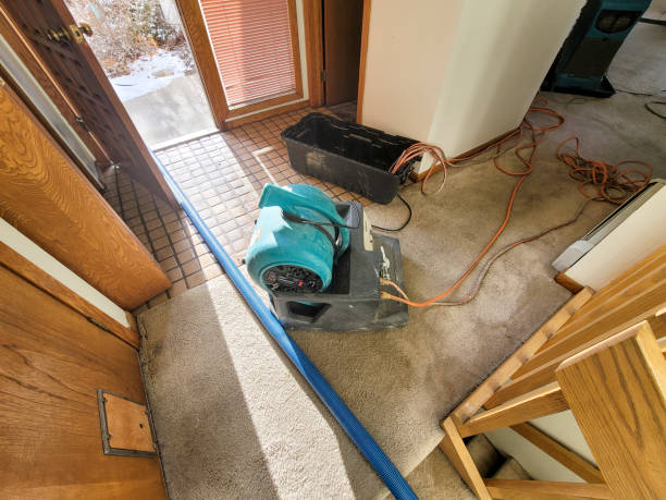 Best Residential water damage restoration  in New Hempstead, NY