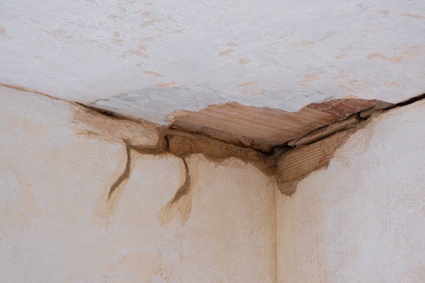 Reliable New Hempstead, NY Water damage restoration Solutions