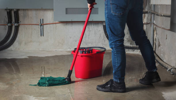 Best 24-hour water damage restoration  in New Hempstead, NY