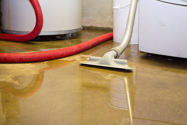 Best Water damage restoration near me  in New Hempstead, NY