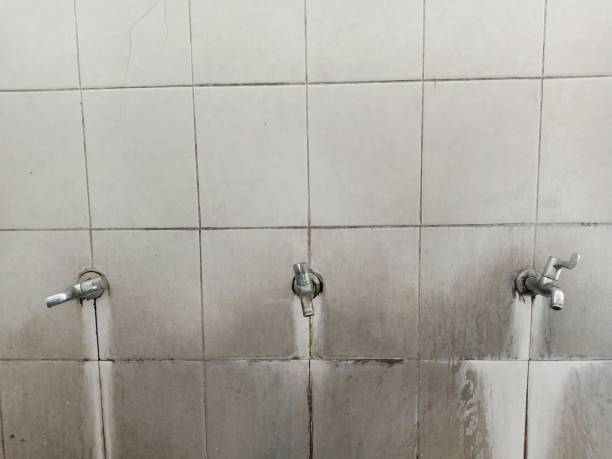 Best Mold removal after water damage  in New Hempstead, NY