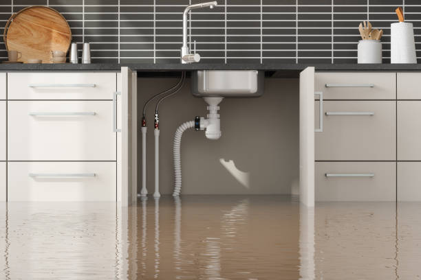 Best Basement water damage restoration  in New Hempstead, NY