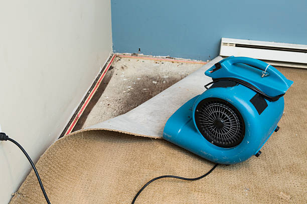 Best Sewage cleanup and water damage restoration  in New Hempstead, NY